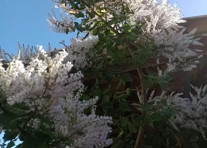 Casa Da Sandra Florianópolis